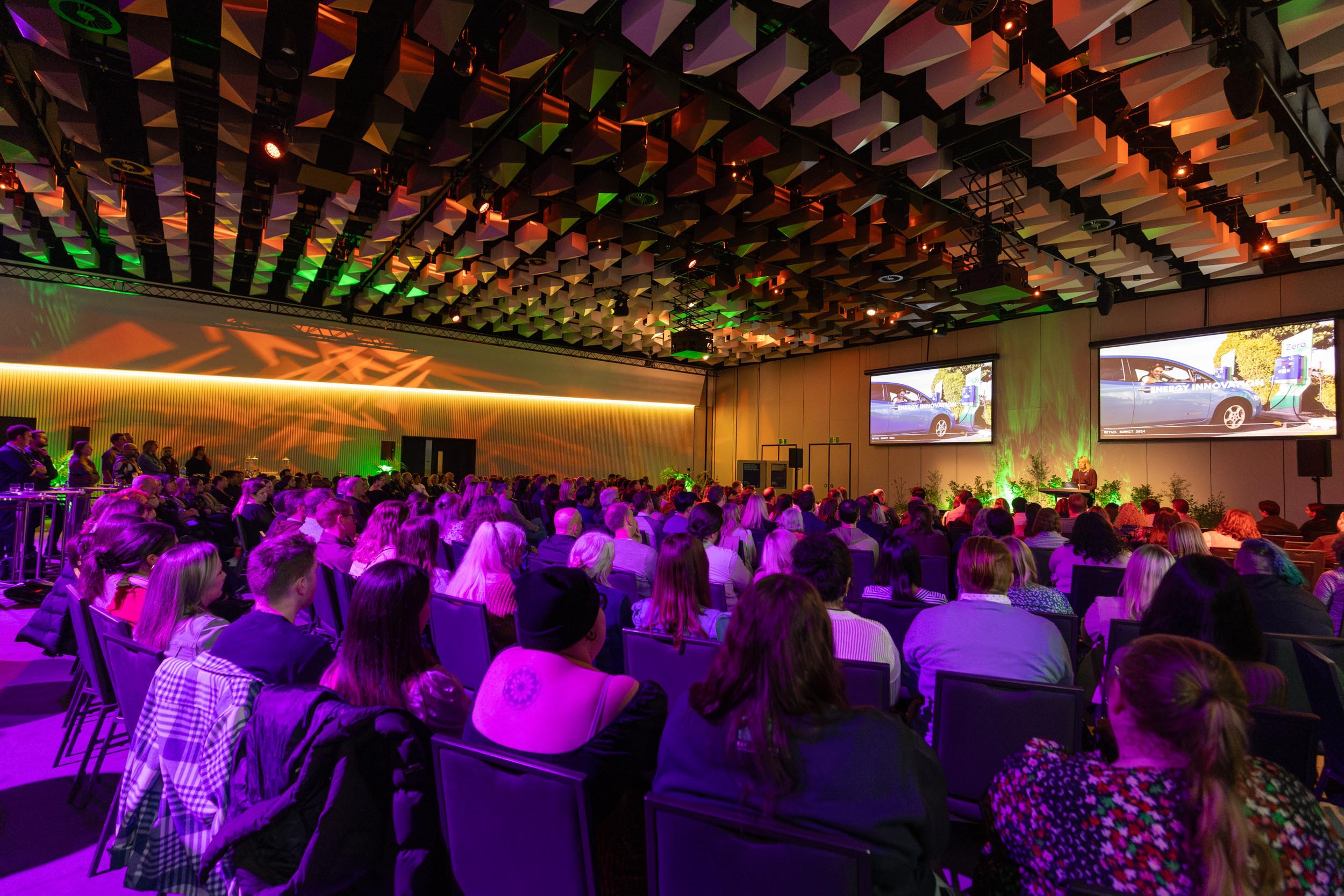 meridian energy te pae